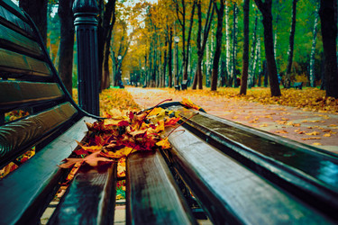 Similar image 21977204