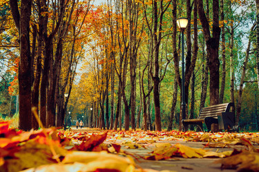 Similar image 21977205