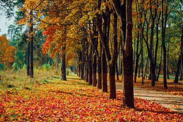 Similar image 21977206