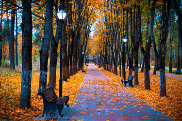 Similar image 21977207