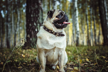 Similar image 21977210