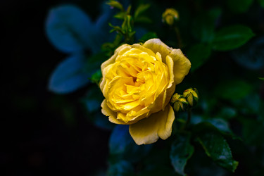 Similar image 21977215