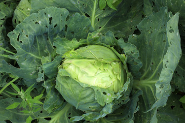 Similar image 21977146