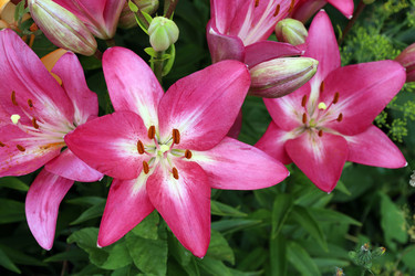 Similar image 21977152