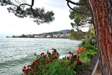 Similar image 21978068