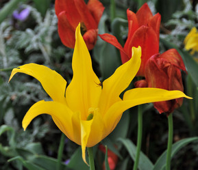 Similar image 21978070