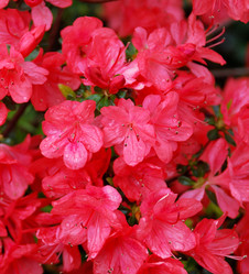 Similar image 21978073