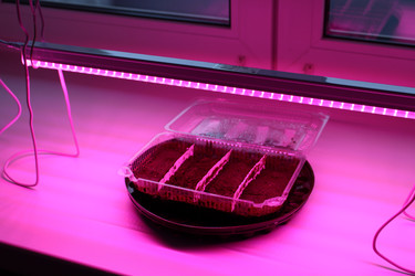 Similar image 21977079