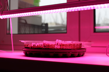 Similar image 21977080