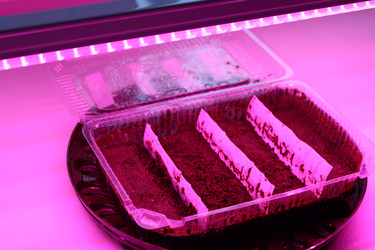 Similar image 21977081