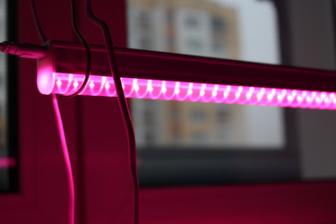 Similar image 21977082