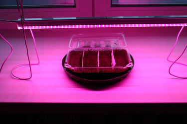 Similar image 21977083