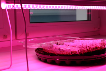 Similar image 21977084