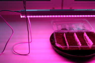 Similar image 21977085