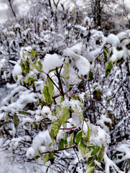 Similar image 21977230