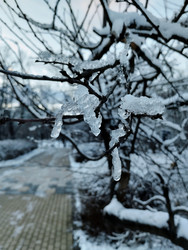 Similar image 21977232