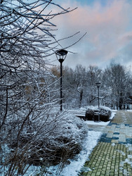 Similar image 21977234