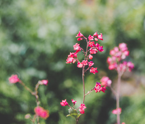 Similar image 21977573