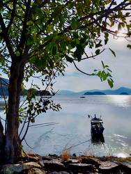 Similar image 21977248