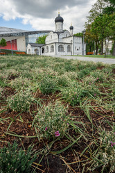 Similar image 21977178