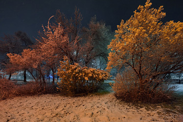 Similar image 21980428