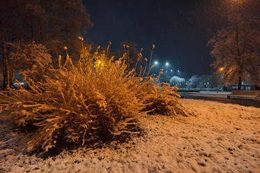 Similar image 21980433