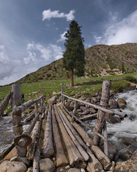 Similar image 21980439