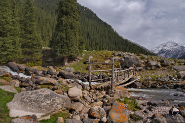 Similar image 21980440