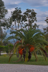 Similar image 21980451