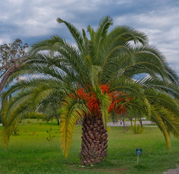 Similar image 21980452