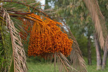 Similar image 21980454