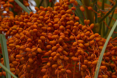 Similar image 21980455