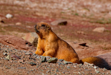 Similar image 21980457