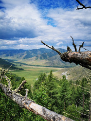 Similar image 21977104