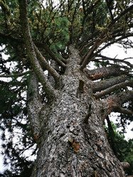 Similar image 21977105