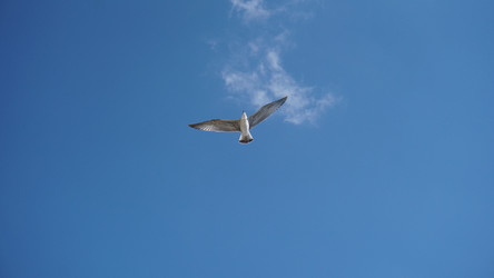 Similar image 21977095