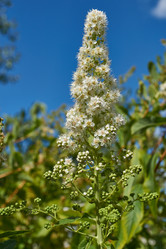 Similar image 21977255