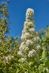 Similar image 21977256