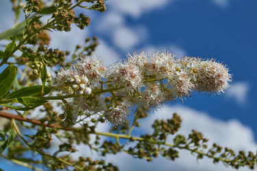 Similar image 21977257