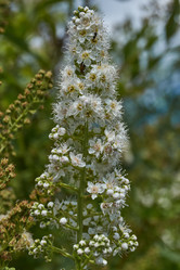 Similar image 21977258