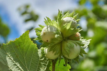 Similar image 21977263