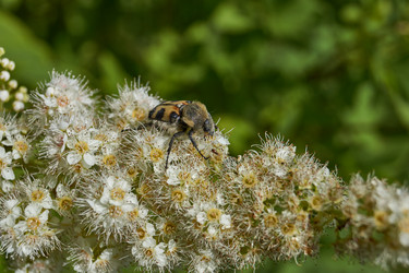 Similar image 21977264