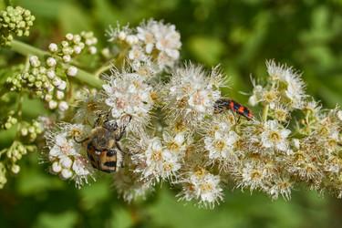 Similar image 21977267