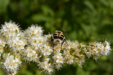 Similar image 21977270