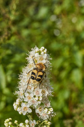 Similar image 21977274