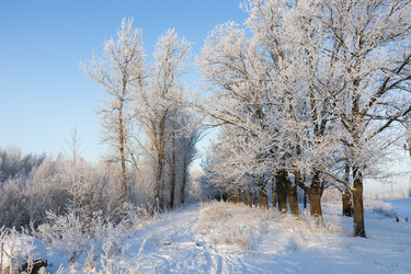 Similar image 21978423