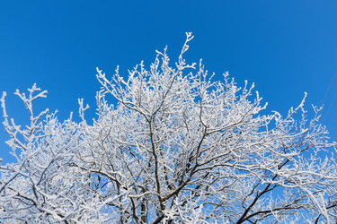 Similar image 21978429