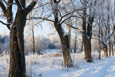 Similar image 21978430