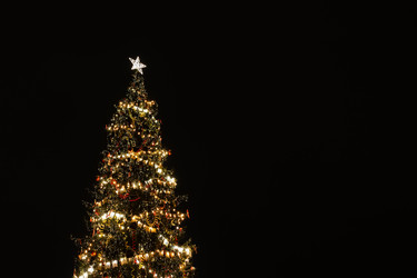 Similar image 21978433