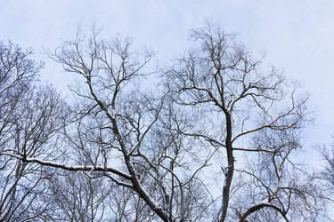 Similar image 21978443